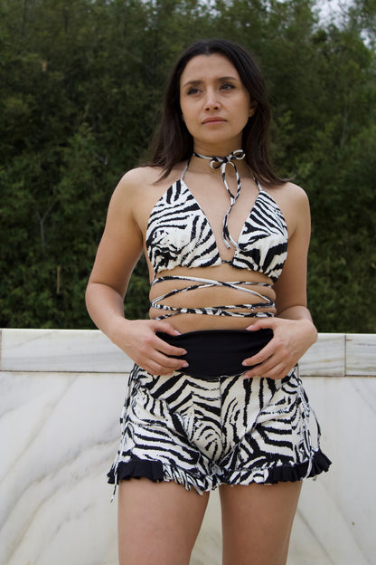 Zebra Heat Set