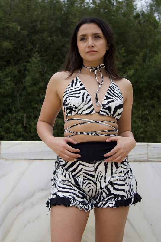 Zebra Heat Set