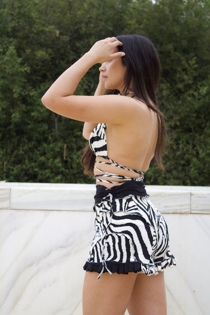 Zebra Heat Set